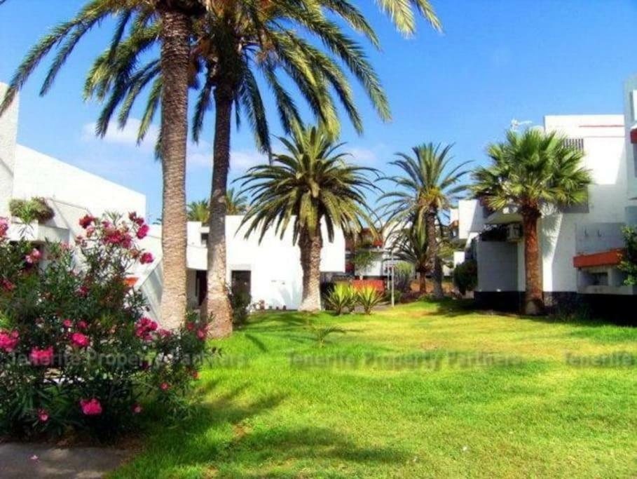 Frontera Primavera Costa Del Silencio Bagian luar foto